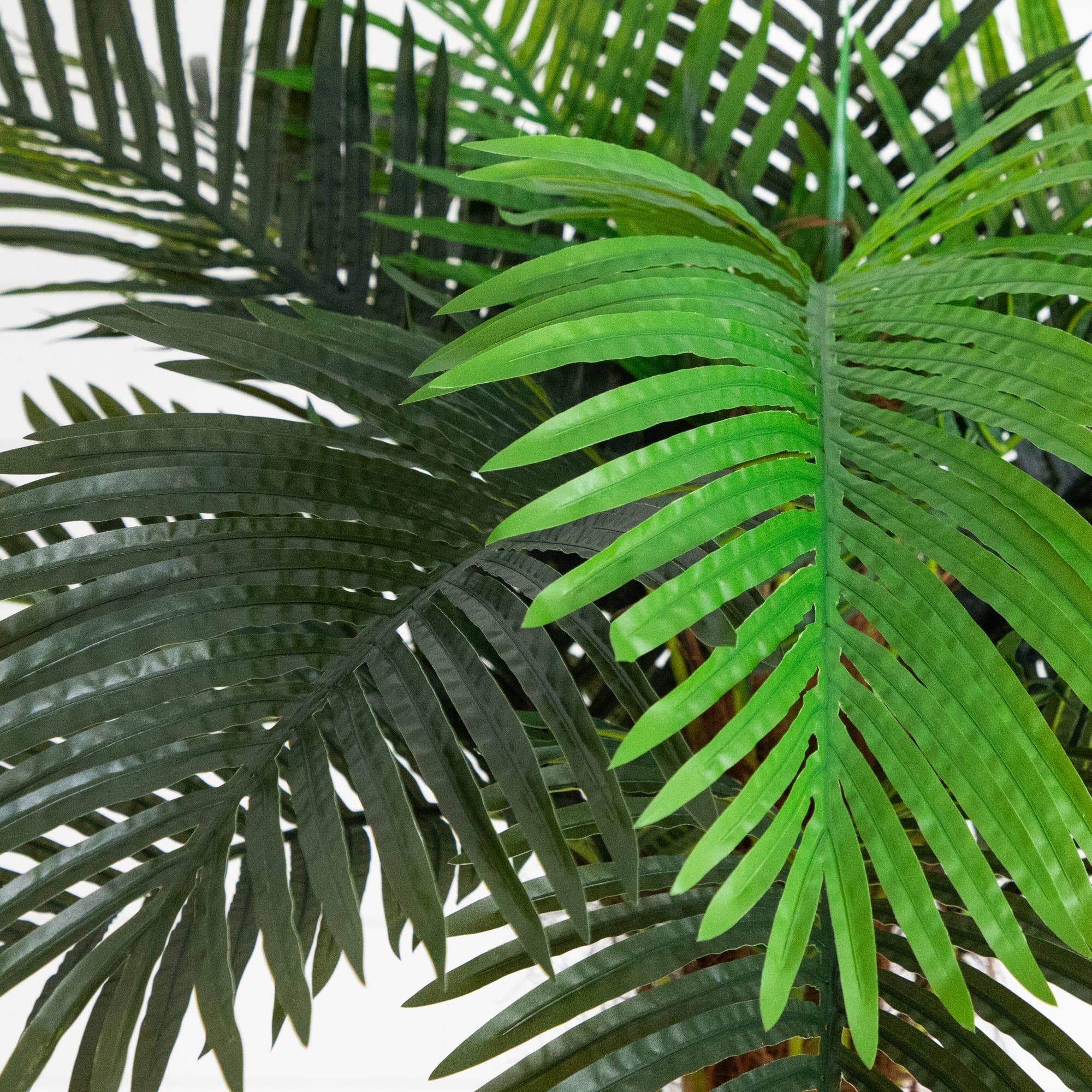 8ft. Potted Coconut Palm Tree